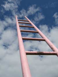 ladder